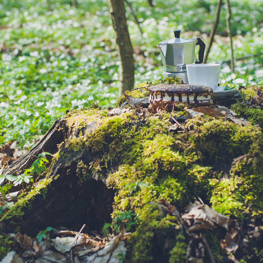 Coffee in the woods